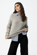 Cargar imagen en el visor de la galería, JERSEY DEXAMENE